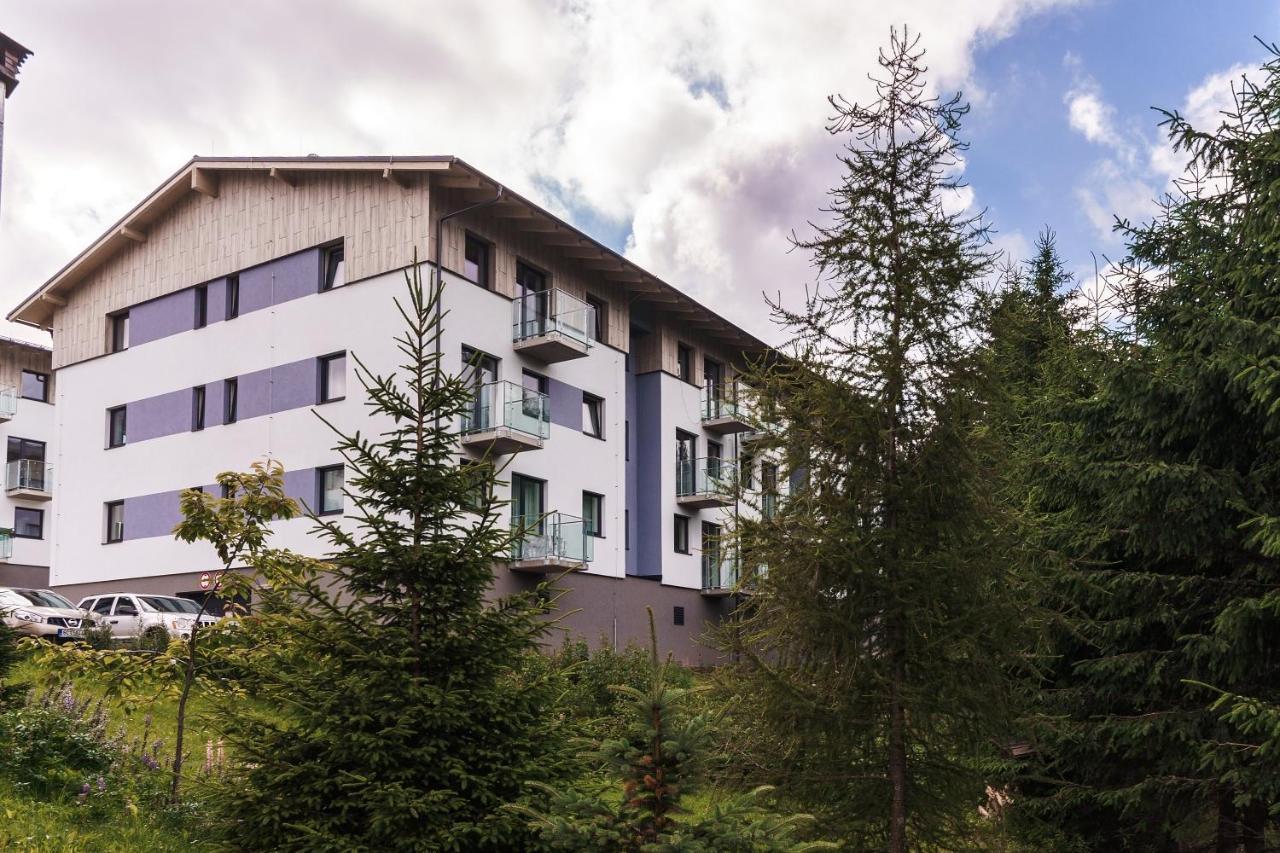 Green apartment Klínovec Loucná pod Klínovcem Exterior foto